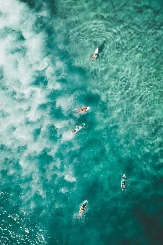 drone shot of surfers paddleing